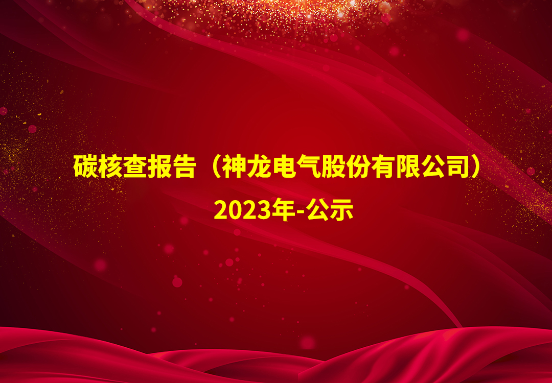 碳核查报告（必一电气股份有限公司）-2023年